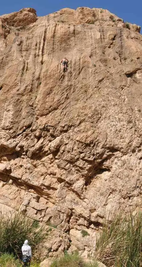 תמונה של ואדי קלט