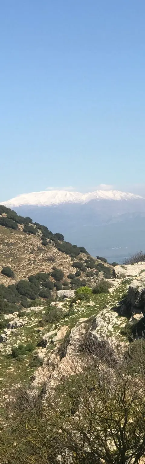 מצוק דלתון, פברואר 2019