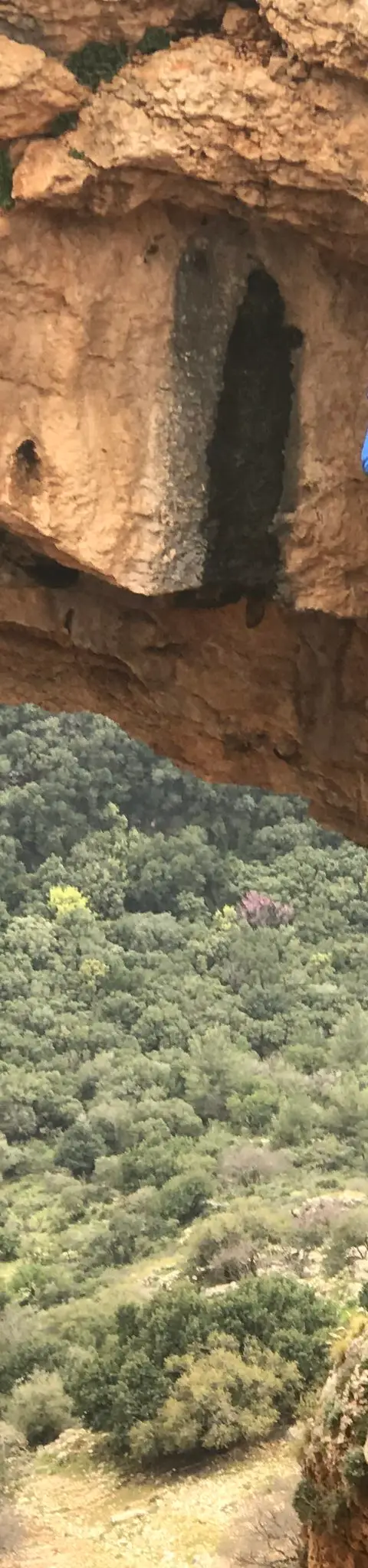מערת קשת, מרץ 2019
